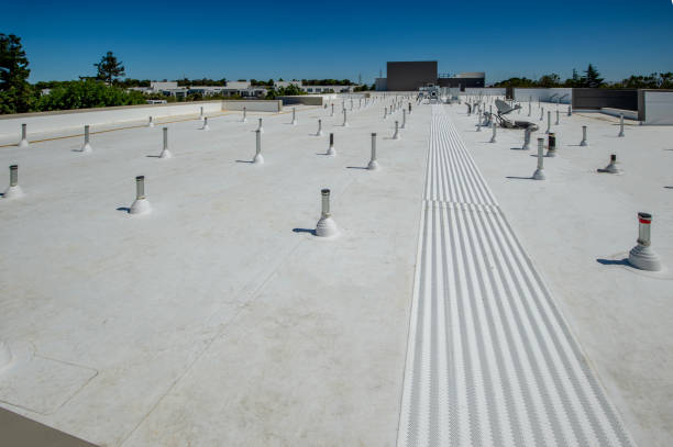 Best Roof Maintenance and Cleaning  in Sparks, GA
